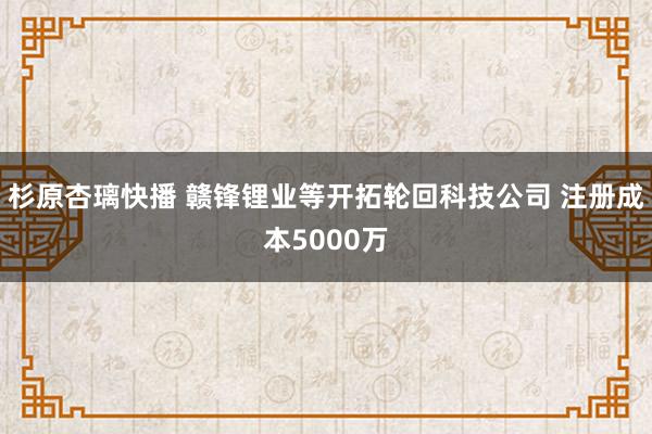 杉原杏璃快播 赣锋锂业等开拓轮回科技公司 注册成本5000万