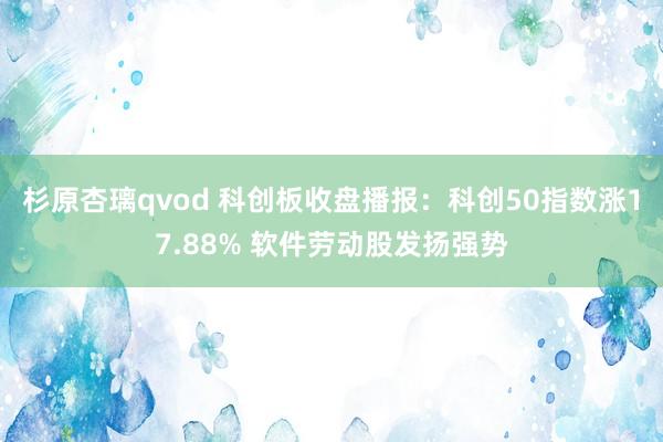 杉原杏璃qvod 科创板收盘播报：科创50指数涨17.88% 软件劳动股发扬强势