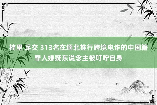 楠里 足交 313名在缅北推行跨境电诈的中国籍罪人嫌疑东说念主被叮咛自身