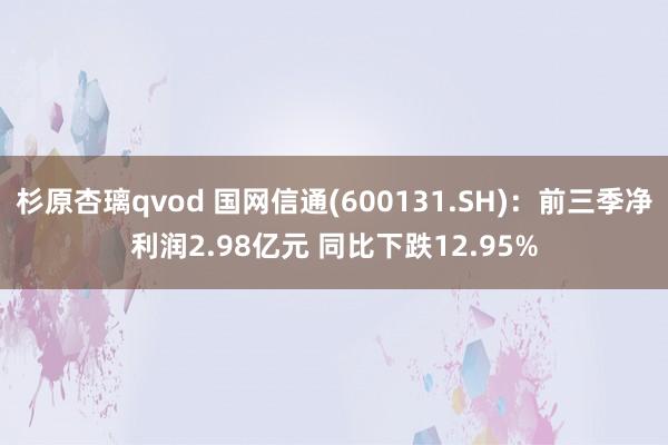 杉原杏璃qvod 国网信通(600131.SH)：前三季净利润2.98亿元 同比下跌12.95%