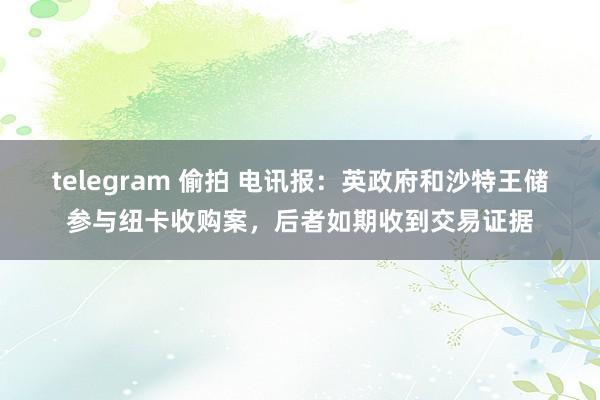 telegram 偷拍 电讯报：英政府和沙特王储参与纽卡收购案，后者如期收到交易证据