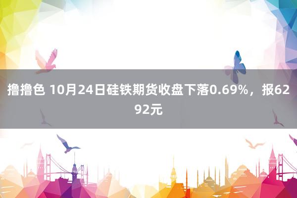 撸撸色 10月24日硅铁期货收盘下落0.69%，报6292元