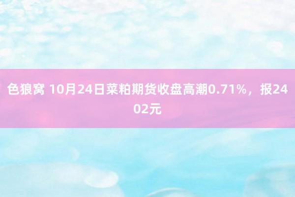 色狼窝 10月24日菜粕期货收盘高潮0.71%，报2402元