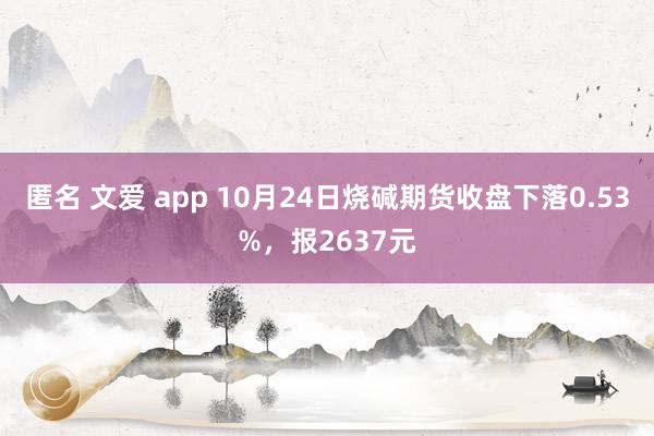 匿名 文爱 app 10月24日烧碱期货收盘下落0.53%，报2637元