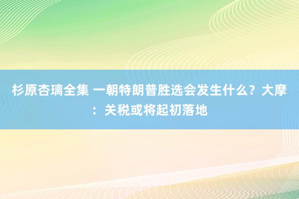 杉原杏璃全集 一朝特朗普胜选会发生什么？大摩：关税或将起初落地