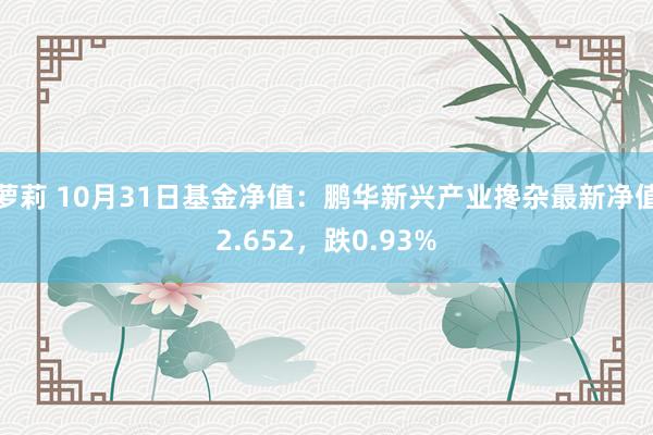 萝莉 10月31日基金净值：鹏华新兴产业搀杂最新净值2.652，跌0.93%