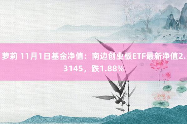 萝莉 11月1日基金净值：南边创业板ETF最新净值2.3145，跌1.88%