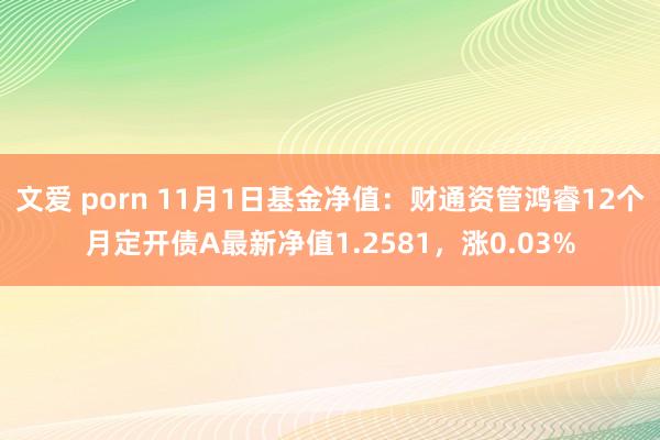 文爱 porn 11月1日基金净值：财通资管鸿睿12个月定开债A最新净值1.2581，涨0.03%