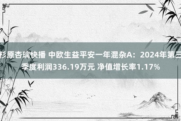 杉原杏璃快播 中欧生益平安一年混杂A：2024年第三季度利润336.19万元 净值增长率1.17%