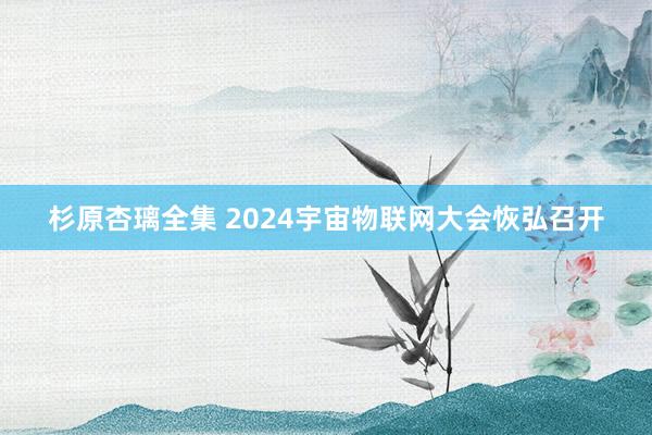 杉原杏璃全集 2024宇宙物联网大会恢弘召开