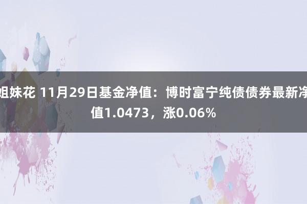 姐妹花 11月29日基金净值：博时富宁纯债债券最新净值1.0473，涨0.06%