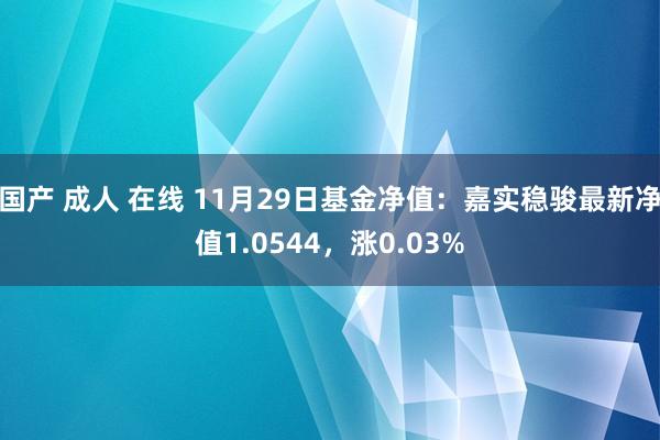 国产 成人 在线 11月29日基金净值：嘉实稳骏最新净值1.0544，涨0.03%