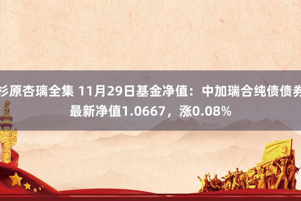 杉原杏璃全集 11月29日基金净值：中加瑞合纯债债券最新净值1.0667，涨0.08%