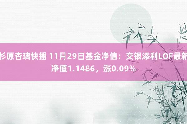 杉原杏璃快播 11月29日基金净值：交银添利LOF最新净值1.1486，涨0.09%