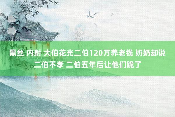 黑丝 内射 大伯花光二伯120万养老钱 奶奶却说二伯不孝 二伯五年后让他们跪了