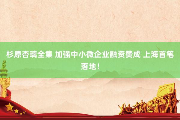 杉原杏璃全集 加强中小微企业融资赞成 上海首笔落地！