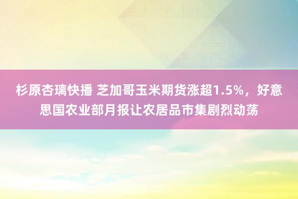 杉原杏璃快播 芝加哥玉米期货涨超1.5%，好意思国农业部月报让农居品市集剧烈动荡