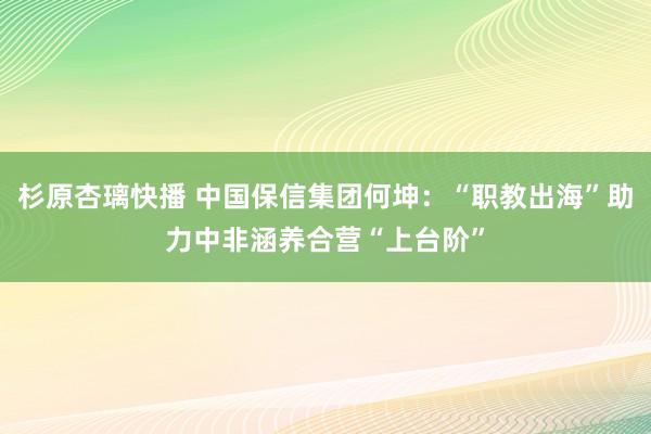 杉原杏璃快播 中国保信集团何坤：“职教出海”助力中非涵养合营“上台阶”