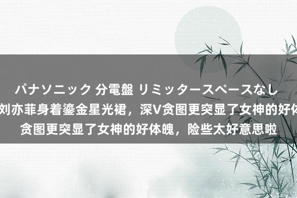 パナソニック 分電盤 リミッタースペースなし 露出・半埋込両用形 刘亦菲身着鎏金星光裙，深V贪图更突显了女神的好体魄，险些太好意思啦