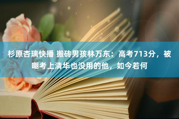 杉原杏璃快播 搬砖男孩林万东：高考713分，被嘲考上清华也没用的他，如今若何