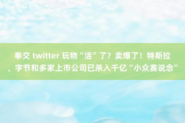 拳交 twitter 玩物“活”了？卖爆了！特斯拉、字节和多家上市公司已杀入千亿“小众赛说念”