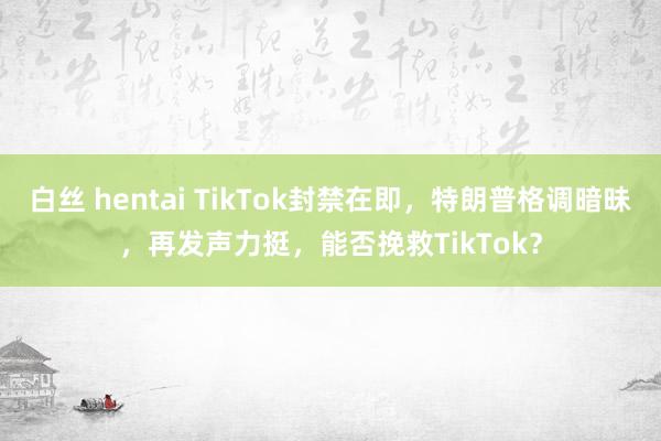 白丝 hentai TikTok封禁在即，特朗普格调暗昧，再发声力挺，能否挽救TikTok？