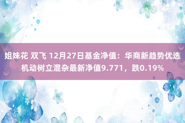 姐妹花 双飞 12月27日基金净值：华商新趋势优选机动树立混杂最新净值9.771，跌0.19%