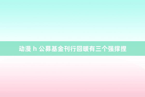 动漫 h 公募基金刊行回暖有三个强撑捏