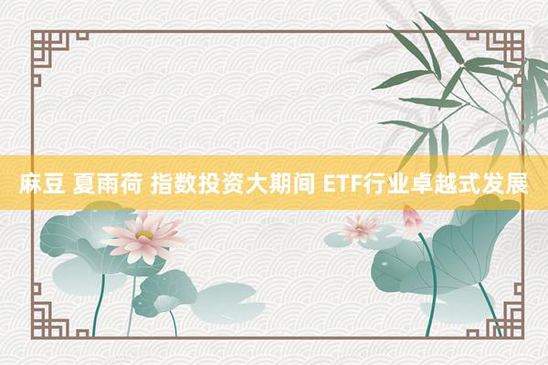 麻豆 夏雨荷 指数投资大期间 ETF行业卓越式发展