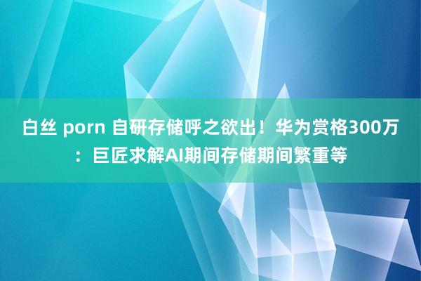 白丝 porn 自研存储呼之欲出！华为赏格300万：巨匠求解AI期间存储期间繁重等