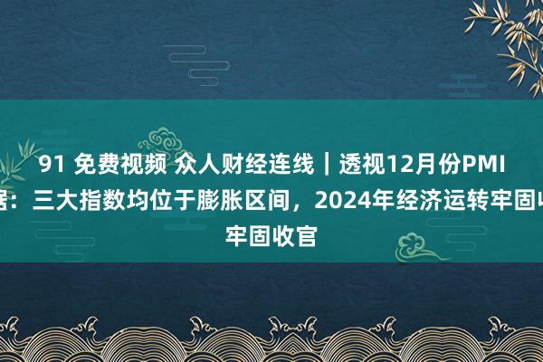 91 免费视频 众人财经连线｜透视12月份PMI数据：三大指数均位于膨胀区间，2024年经济运转牢固收官