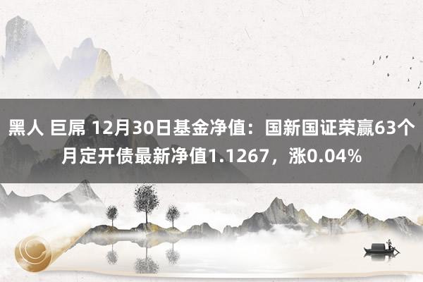 黑人 巨屌 12月30日基金净值：国新国证荣赢63个月定开债最新净值1.1267，涨0.04%