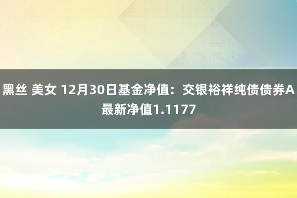 黑丝 美女 12月30日基金净值：交银裕祥纯债债券A最新净值1.1177