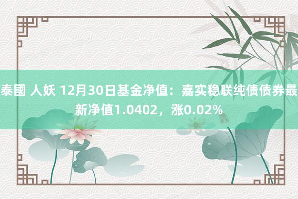 泰國 人妖 12月30日基金净值：嘉实稳联纯债债券最新净值1.0402，涨0.02%