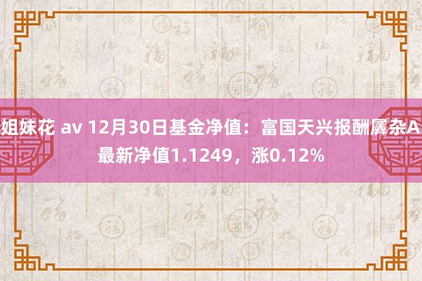 姐妹花 av 12月30日基金净值：富国天兴报酬羼杂A最新净值1.1249，涨0.12%