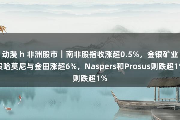 动漫 h 非洲股市｜南非股指收涨超0.5%，金银矿业股哈莫尼与金田涨超6%，Naspers和Prosus则跌超1%