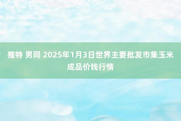 推特 男同 2025年1月3日世界主要批发市集玉米成品价钱行情