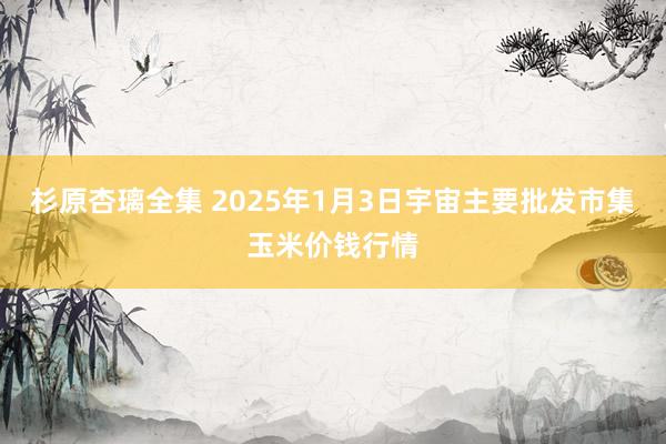 杉原杏璃全集 2025年1月3日宇宙主要批发市集玉米价钱行情