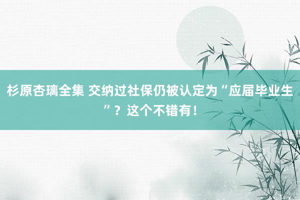 杉原杏璃全集 交纳过社保仍被认定为“应届毕业生”？这个不错有！