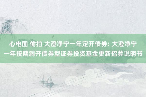 心电图 偷拍 大澄净宁一年定开债券: 大澄净宁一年按期洞开债券型证券投资基金更新招募说明书