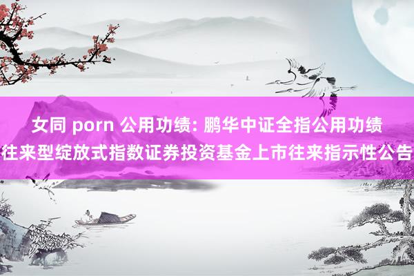 女同 porn 公用功绩: 鹏华中证全指公用功绩往来型绽放式指数证券投资基金上市往来指示性公告