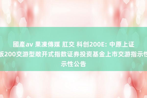 國產av 果凍傳媒 肛交 科创200E: 中原上证科创板200交游型敞开式指数证券投资基金上市交游指示性公告