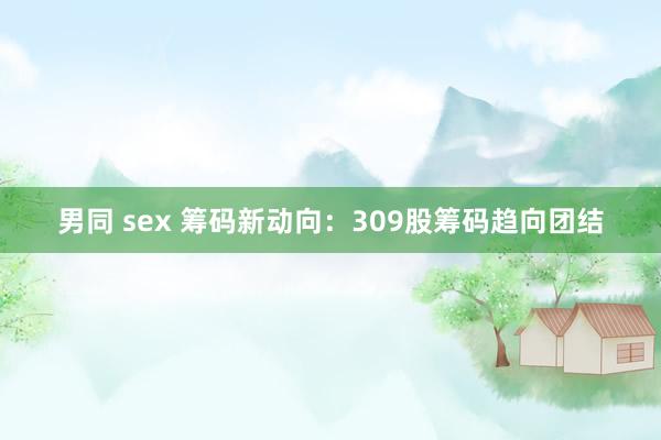 男同 sex 筹码新动向：309股筹码趋向团结