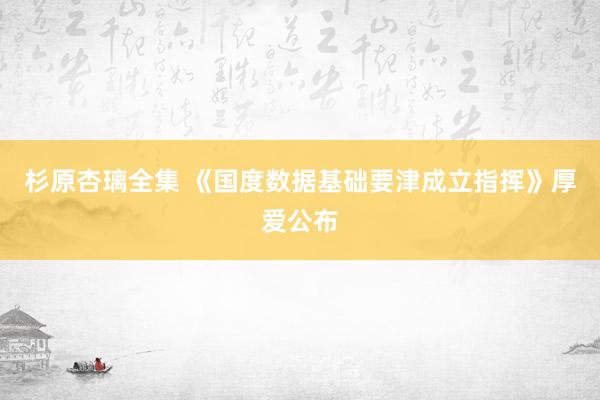 杉原杏璃全集 《国度数据基础要津成立指挥》厚爱公布