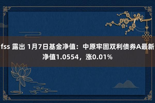 fss 露出 1月7日基金净值：中原牢固双利债券A最新净值1.0554，涨0.01%