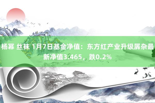 杨幂 丝袜 1月7日基金净值：东方红产业升级羼杂最新净值3.465，跌0.2%