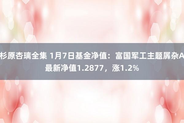 杉原杏璃全集 1月7日基金净值：富国军工主题羼杂A最新净值1.2877，涨1.2%