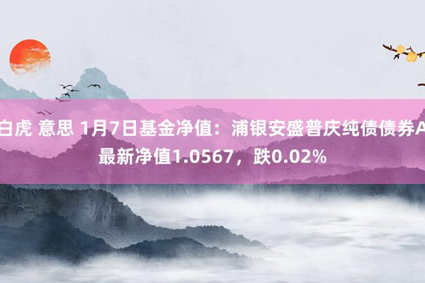 白虎 意思 1月7日基金净值：浦银安盛普庆纯债债券A最新净值1.0567，跌0.02%