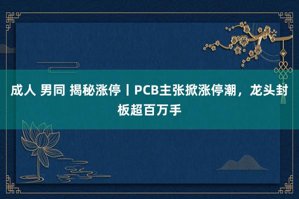 成人 男同 揭秘涨停丨PCB主张掀涨停潮，龙头封板超百万手