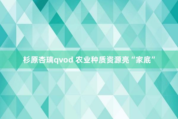 杉原杏璃qvod 农业种质资源亮“家底”